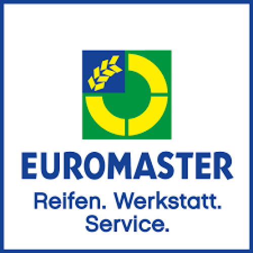 Logo Euromaster Bunt