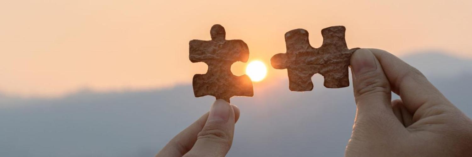 Network Partner Puzzle