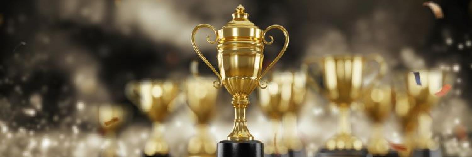 Network Award Arval Network Award